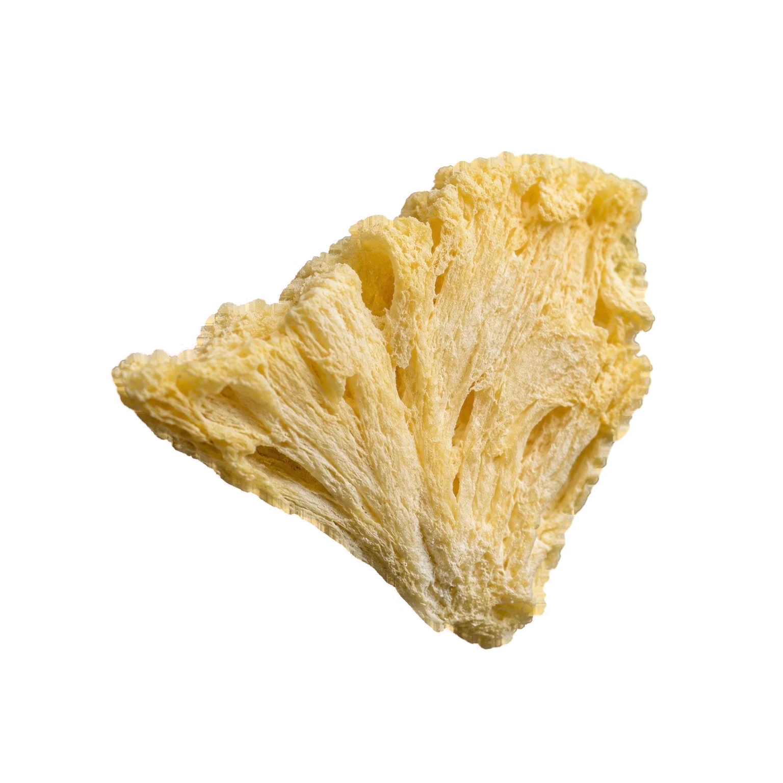 Close view of freeze-dried pineapple texture